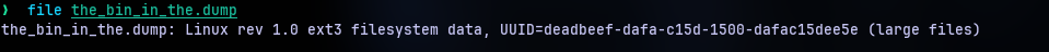 file command output