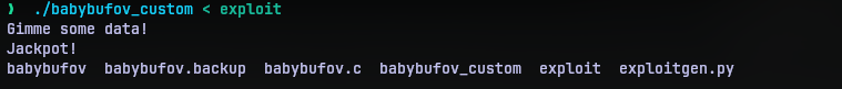 testing ls with exploit